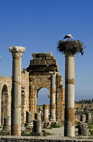 Volubilis, Morokko