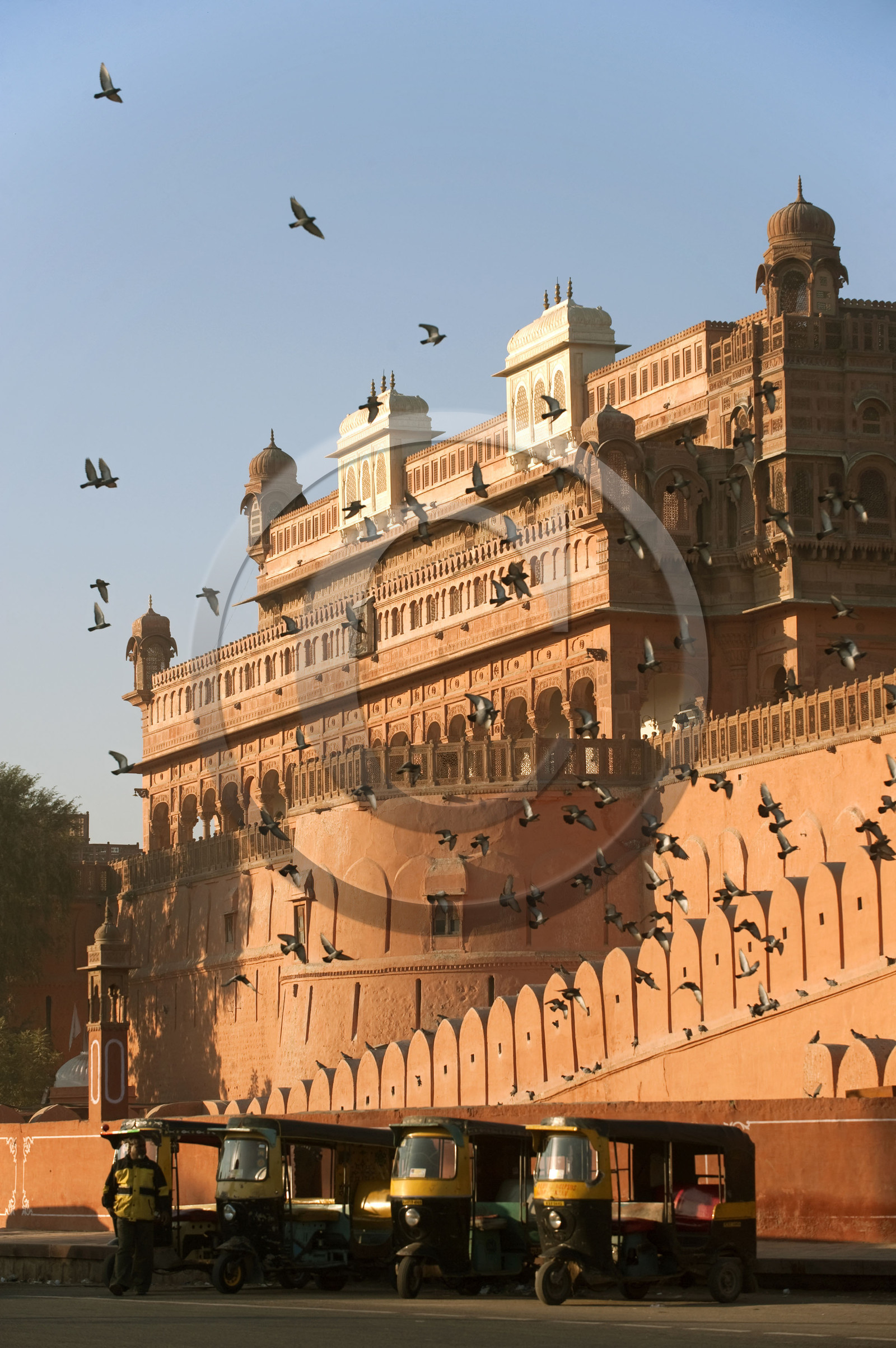 Inde, Rajasthan
