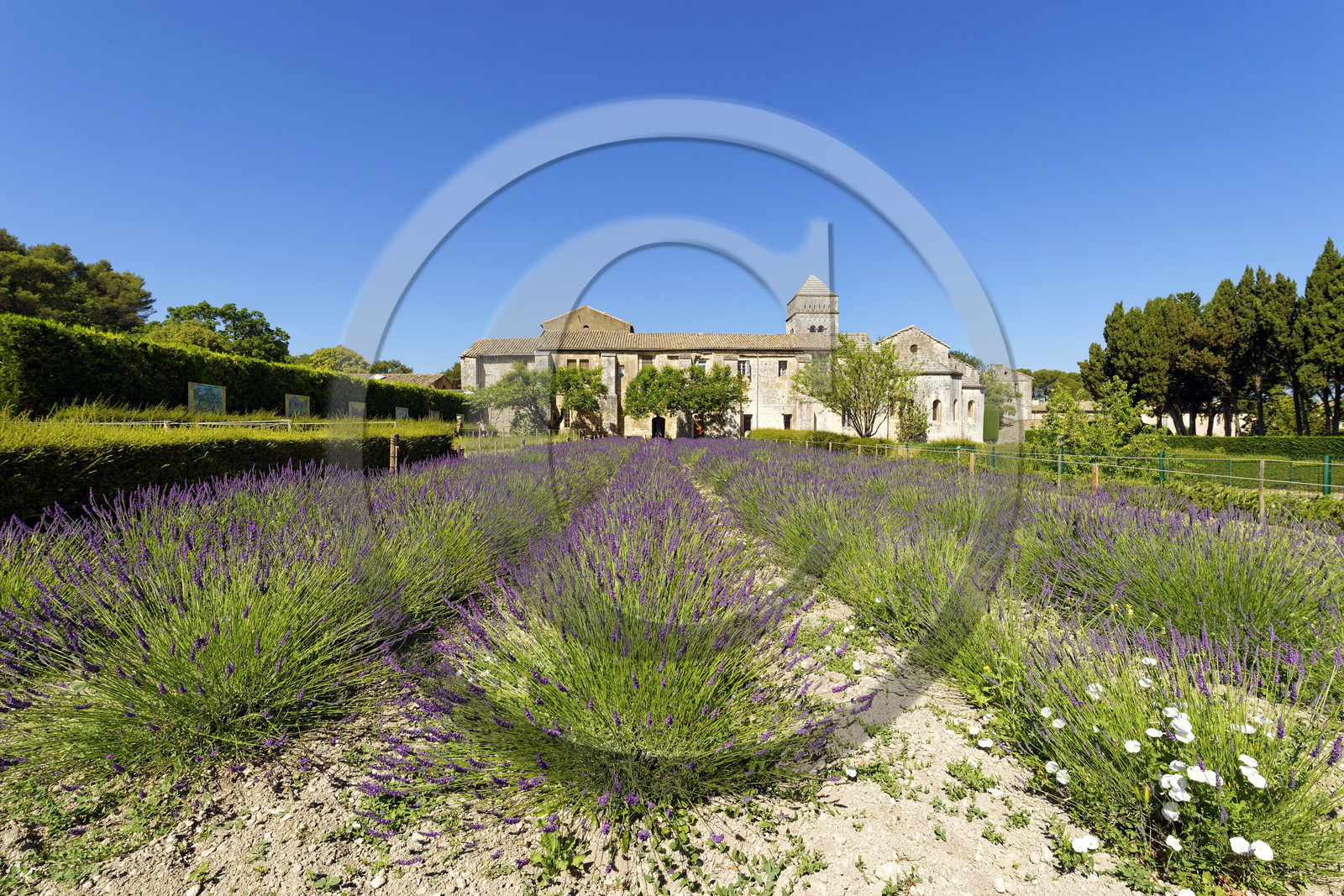 France, Saint Remy de Provence