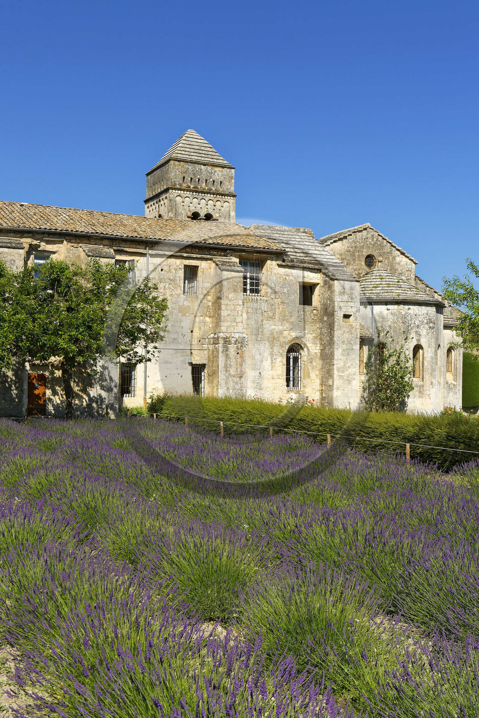 France, Saint Remy de Provence