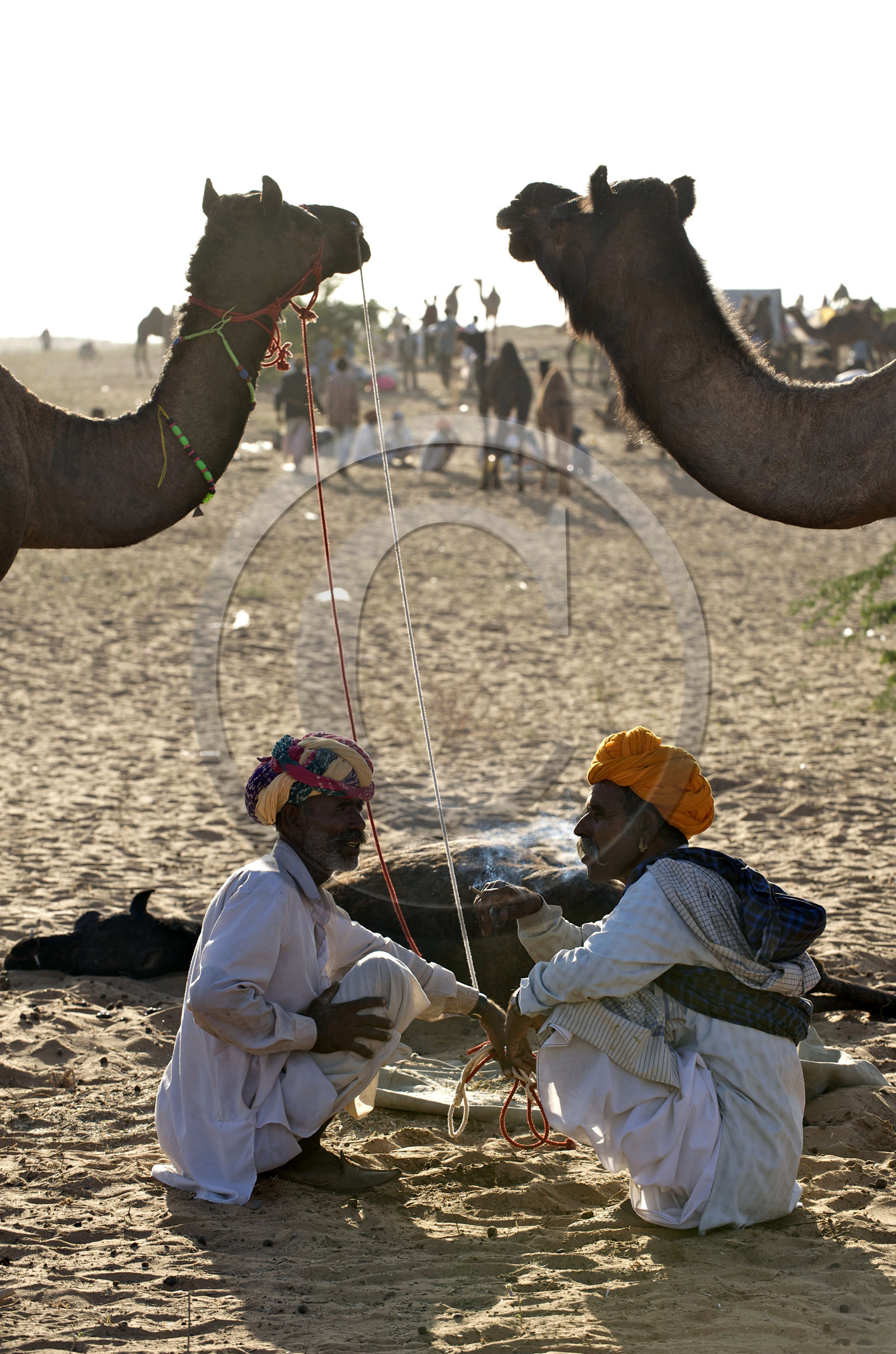 Inde, Pushkar