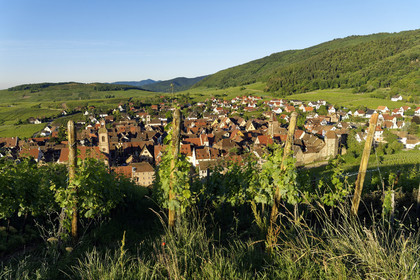 France, Riquewihr