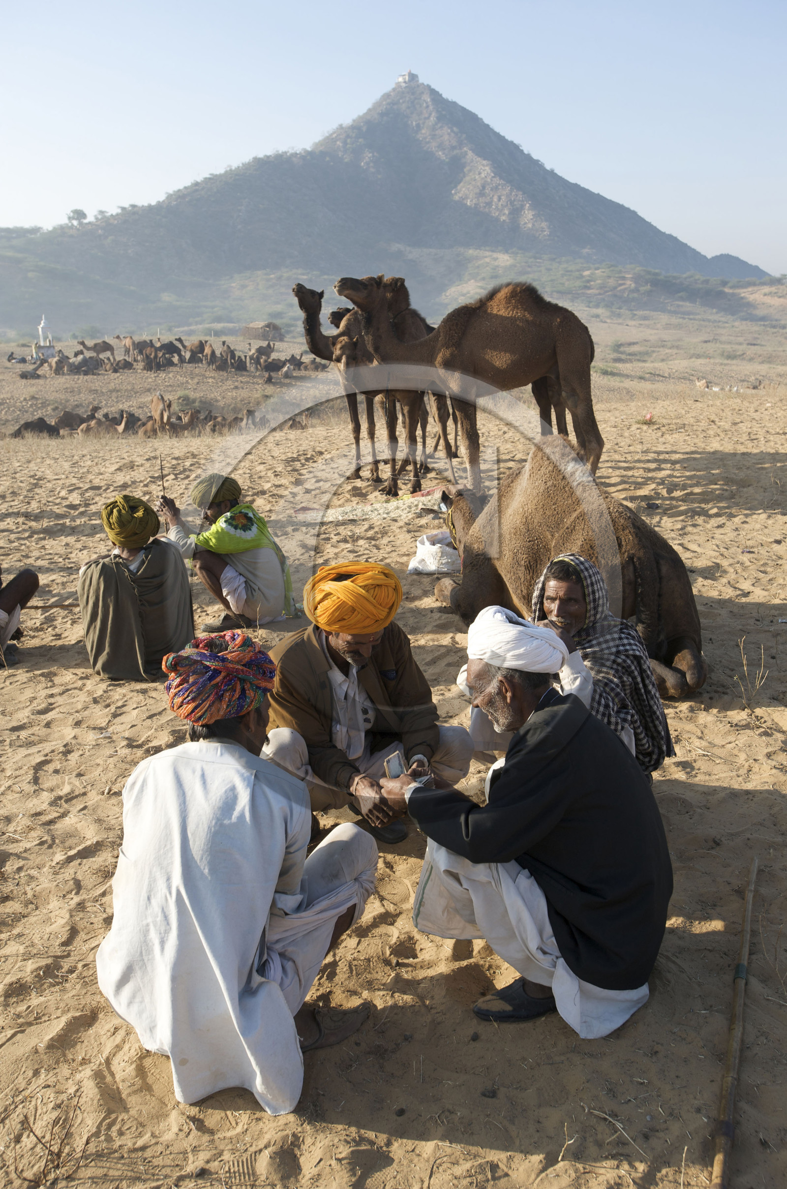 Inde, Pushkar
