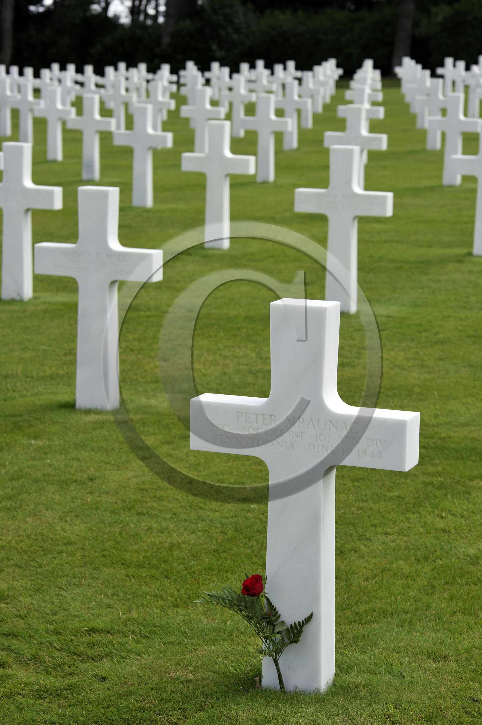 France, debarquement