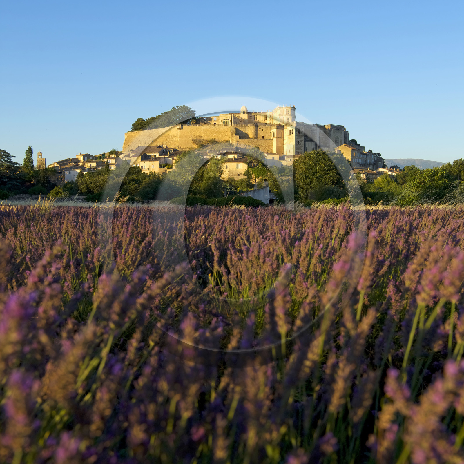 France, Grignan