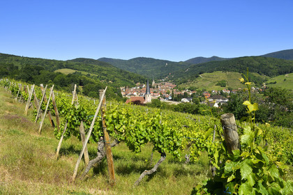 France, Andlau