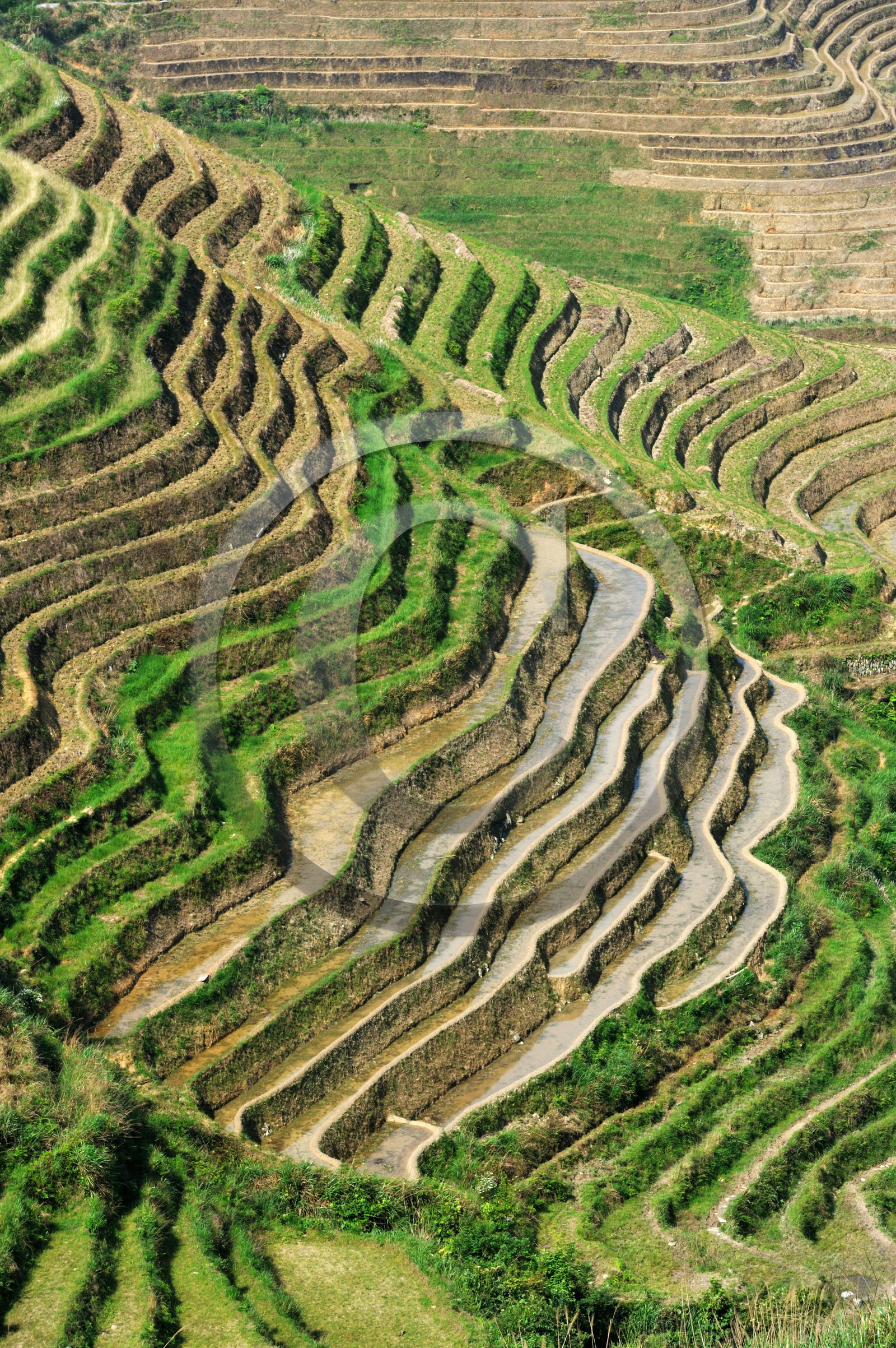 Chine, Longsheng