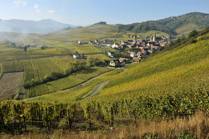 France, Niedermorschwihr