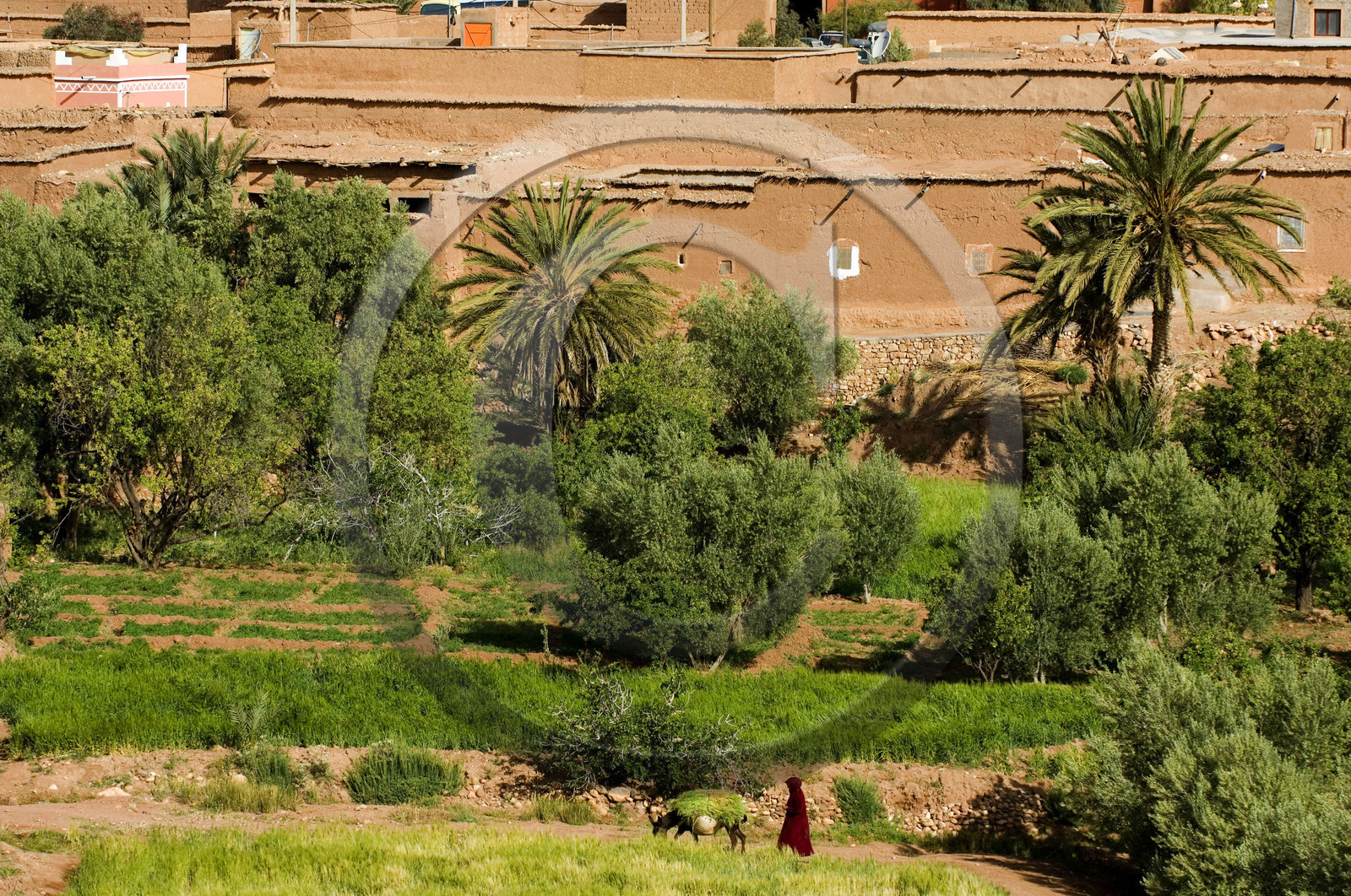 Morocco, Ait Benhaddou