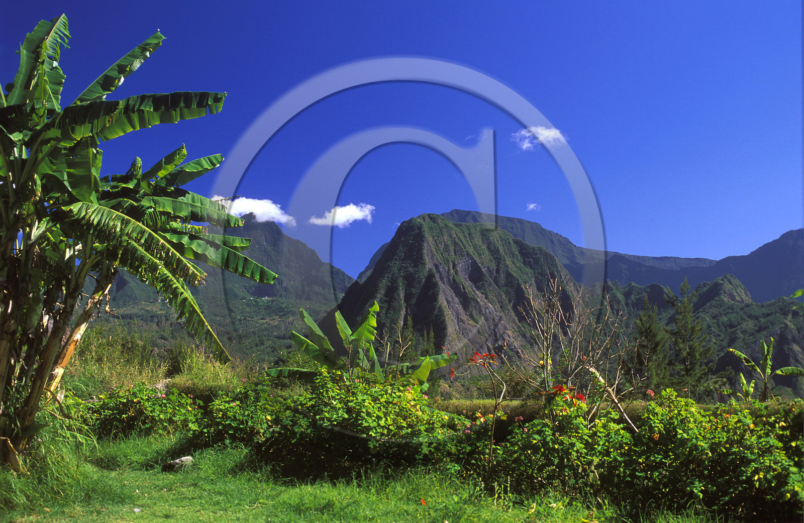 Ile de la Réunion.France