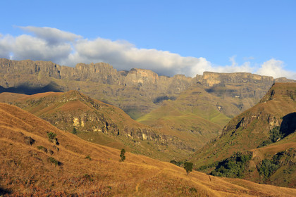 AFS, Drakensberg