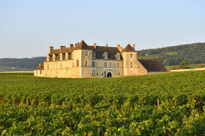 France, Vougeot
