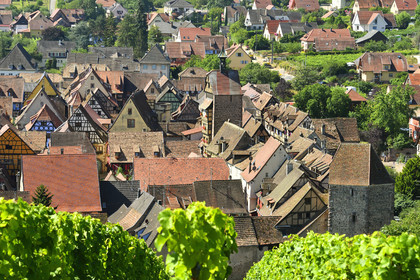 France,  Riquewihr