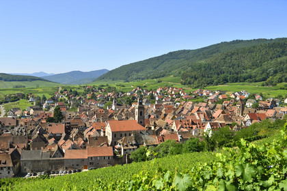 France,  Riquewihr