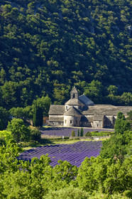 France, Senanque