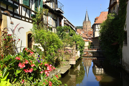 France, Wissembourg
