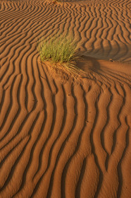 Oman, Wahiba sands