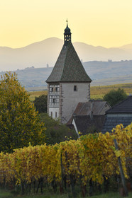 France, Route des vins