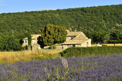 France, Banon