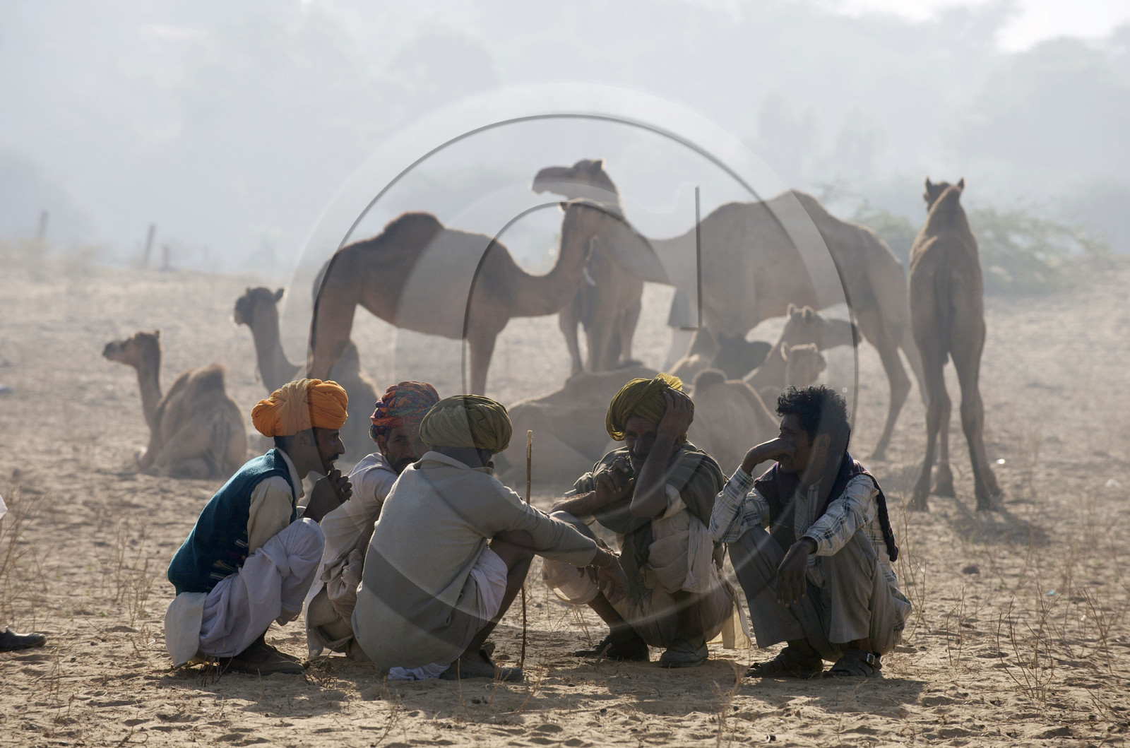 Inde, Pushkar