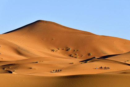 Maroc, Merzouga