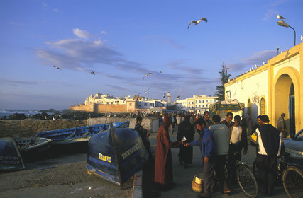 MAROC   ESSAOUIRA.LE PORT