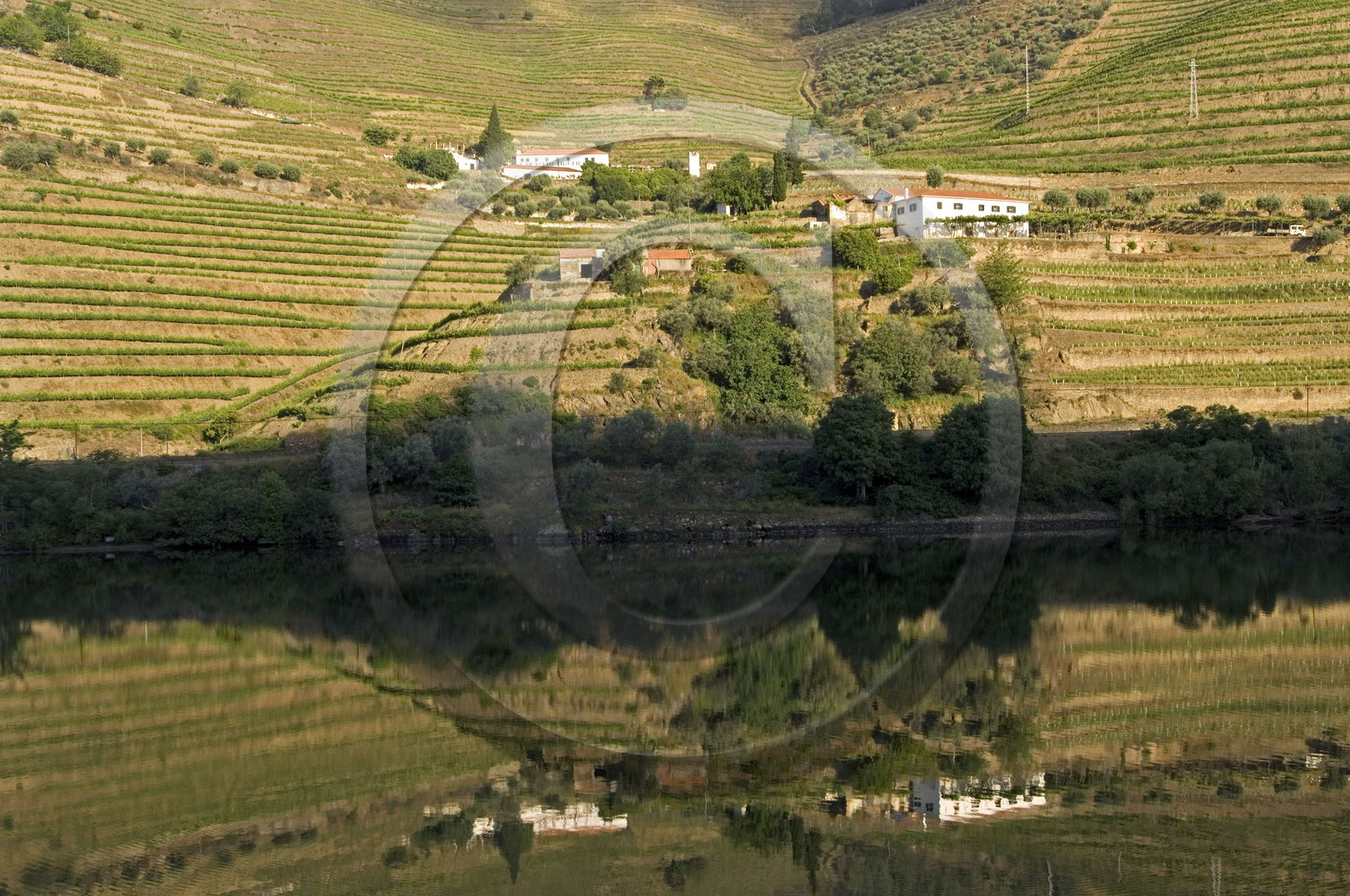 Douro, Portugal