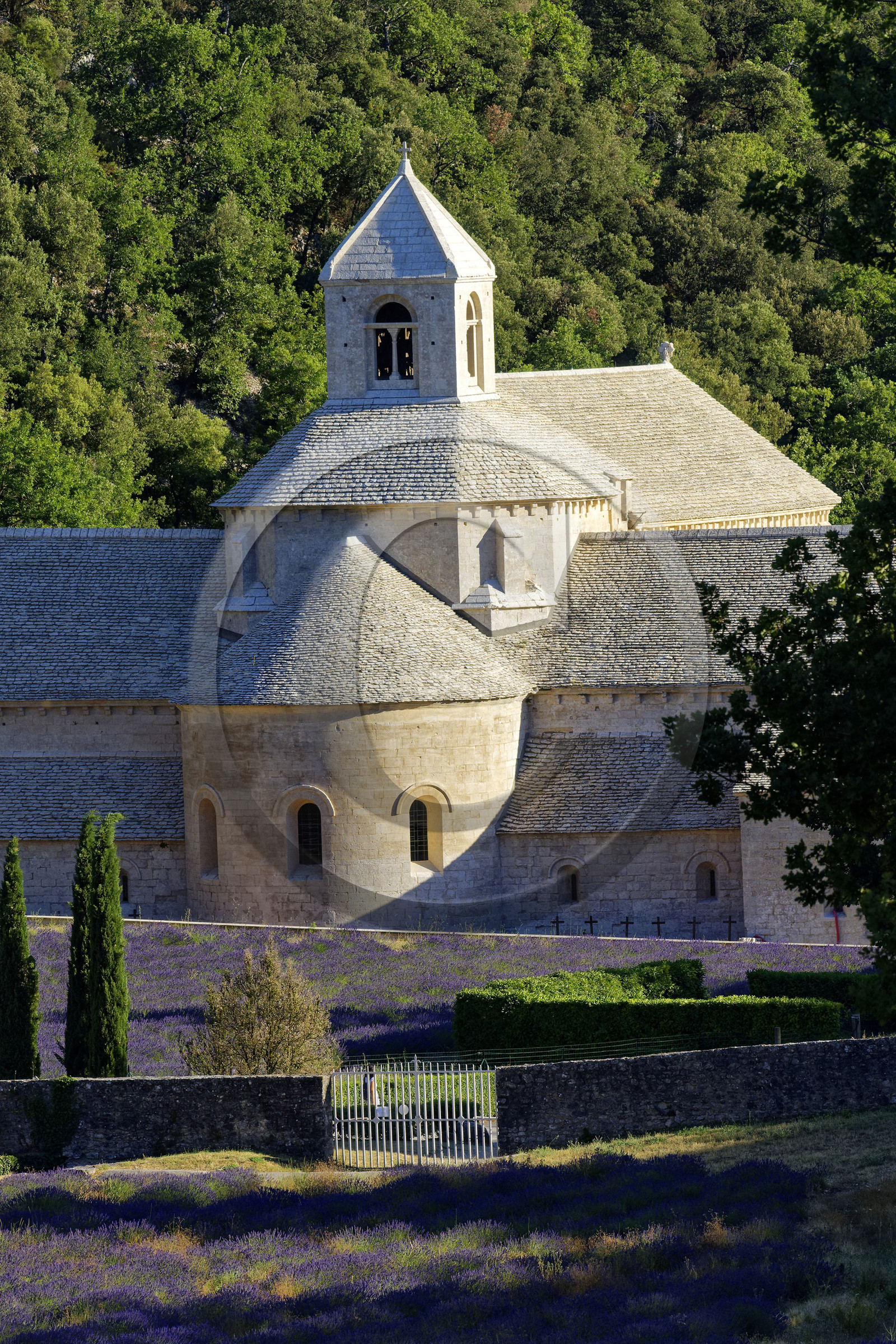 France, Senanque