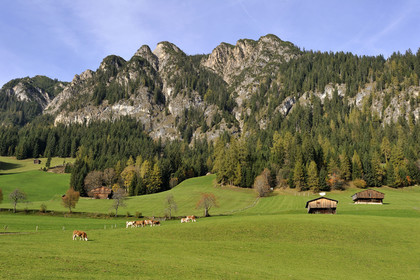Autriche, Tyrol