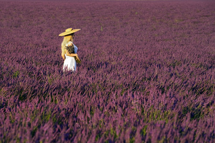 France, Valensole