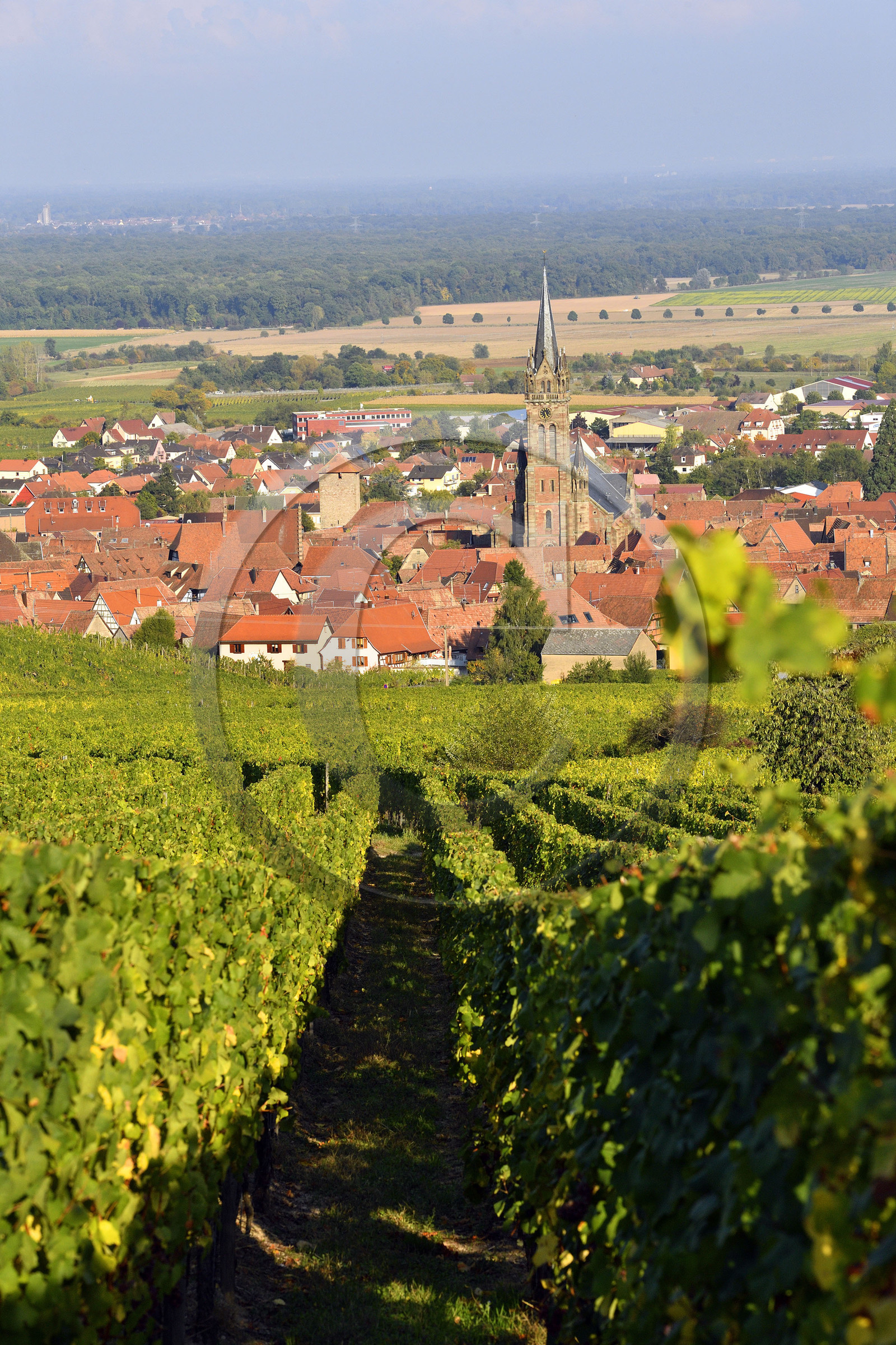 France, Dambach la Ville