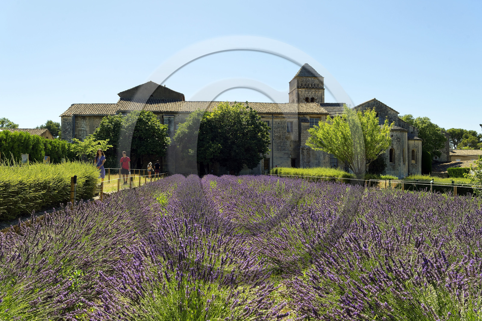 France, Saint Remy de Provence