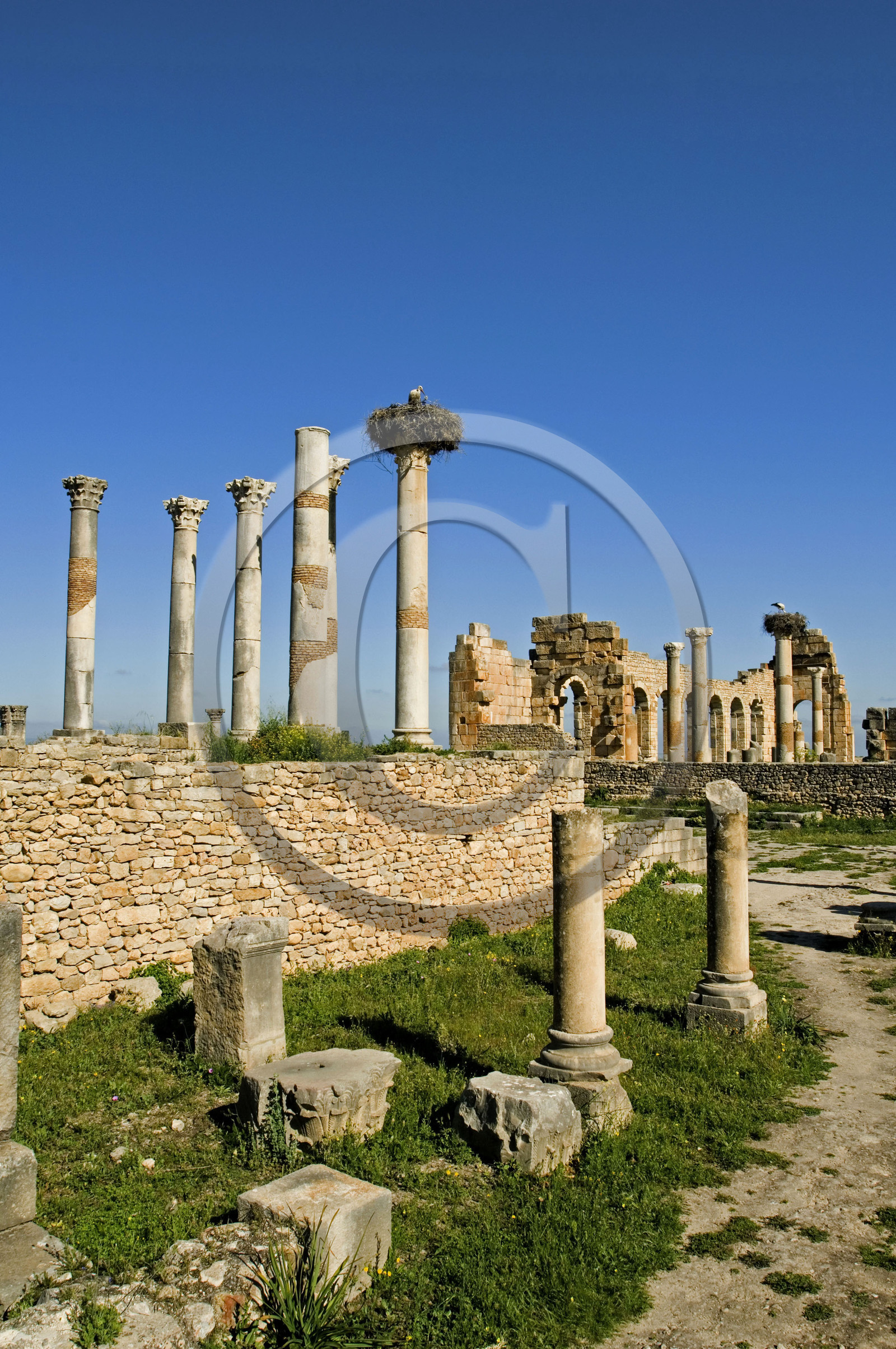 Volubilis, Morokko