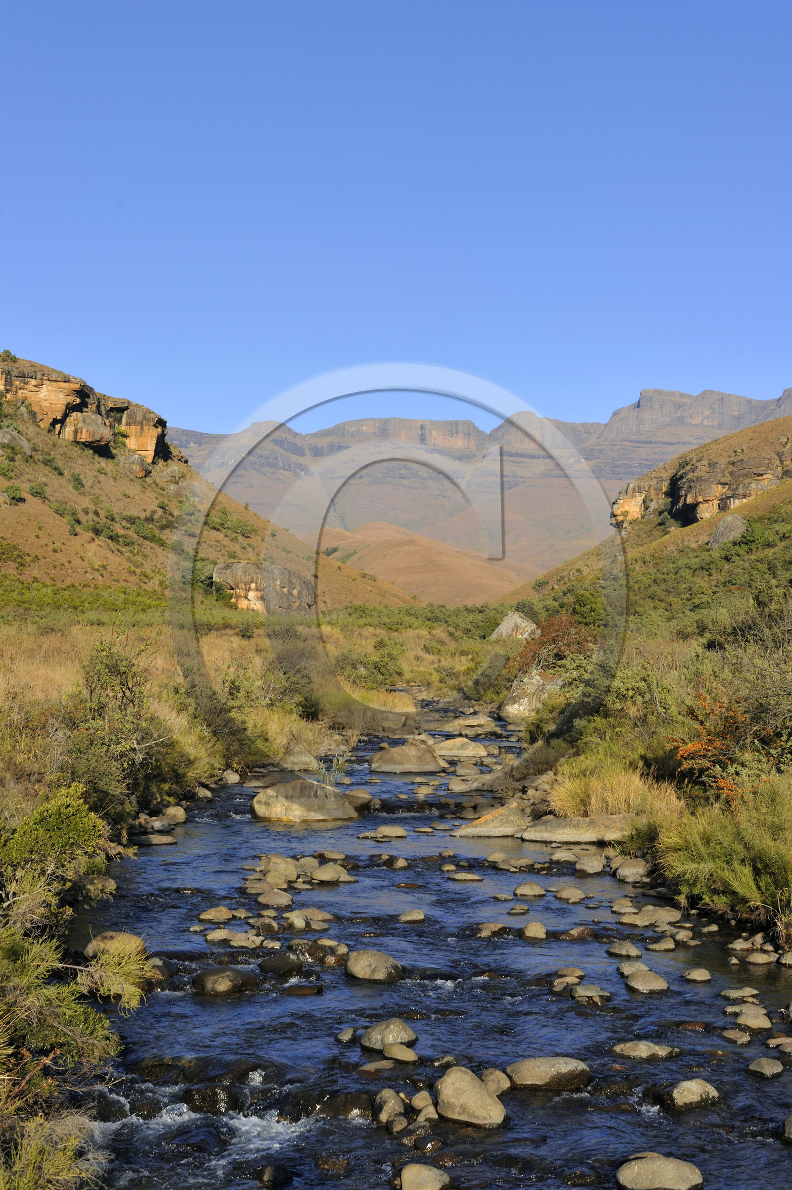 AFS, Drakensberg