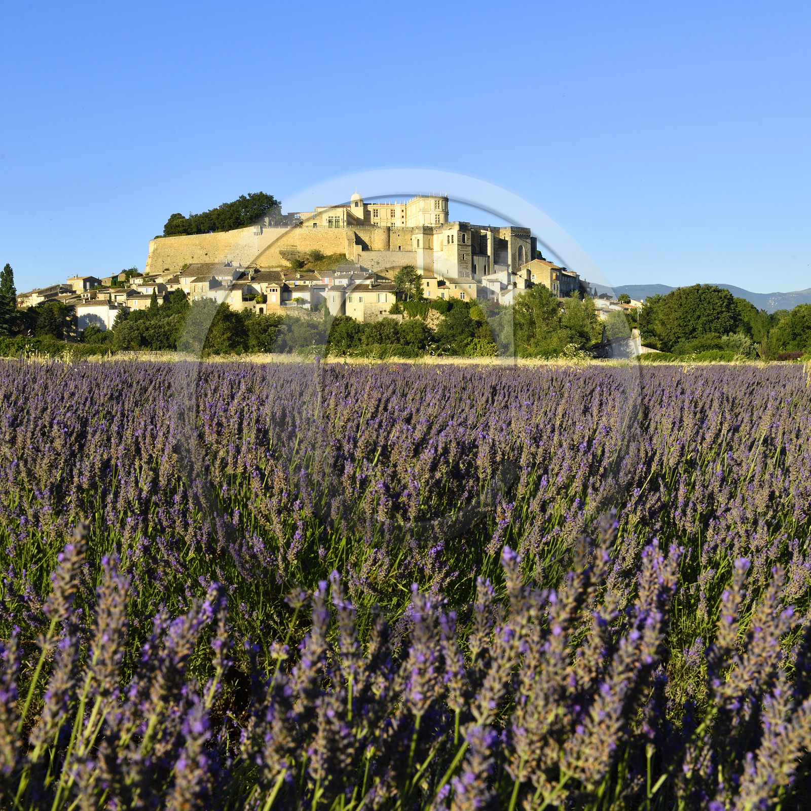 France, Grignan