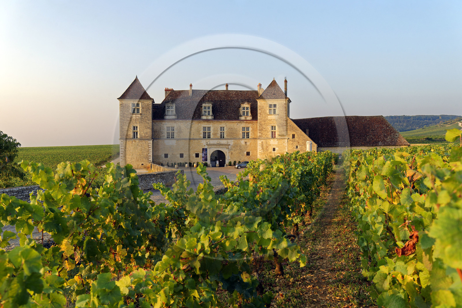 France, Vougeot