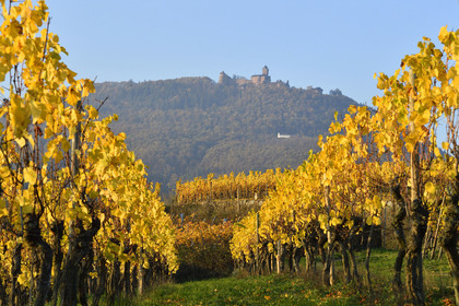 France, Koenigsbourg