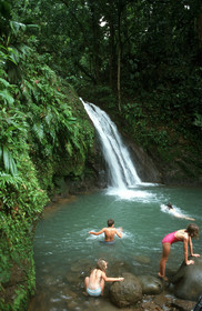 Cascade aux Écrevisses. Guadeloupe. Antilles Françaises