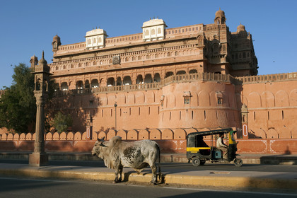 Inde, Rajasthan