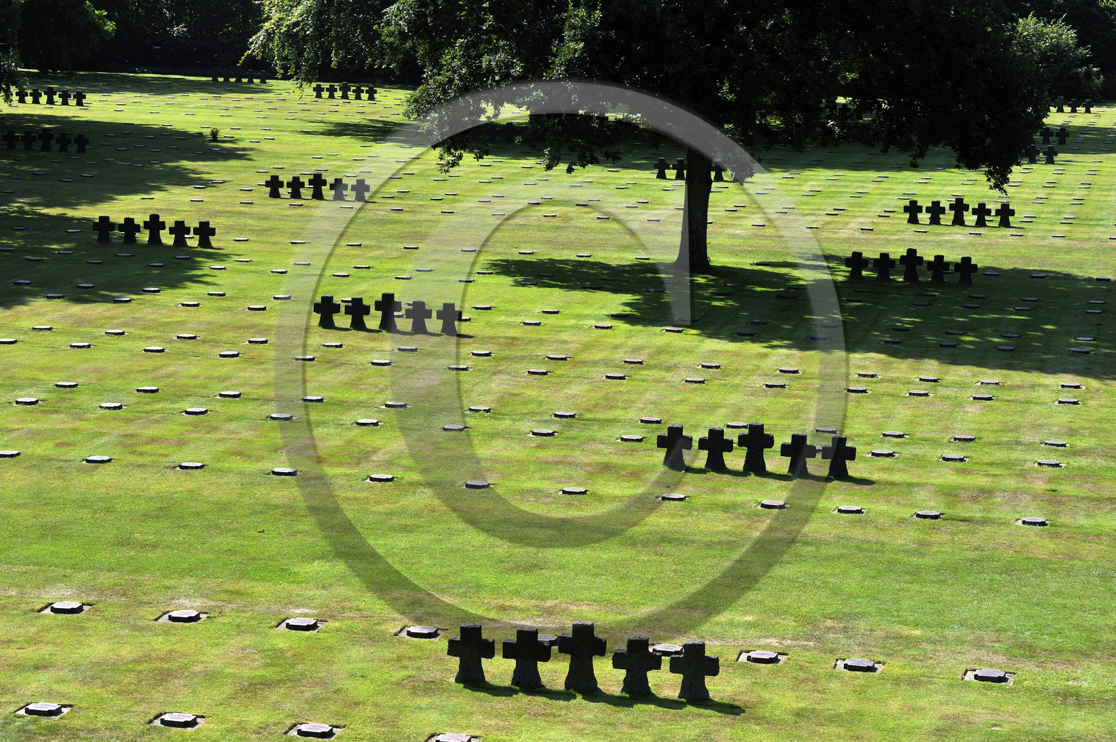 France, debarquement