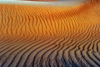 Oman, Wahiba sands