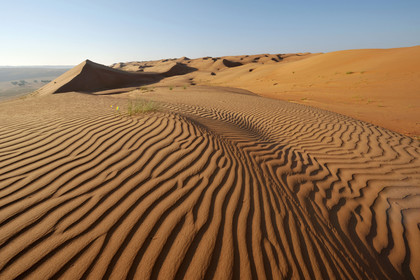 Oman, Wahiba sands