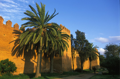 MAROC   RABAT.MURAILLE DE LA MÉDINA