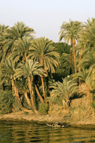 Egypte, Vallée du Nil