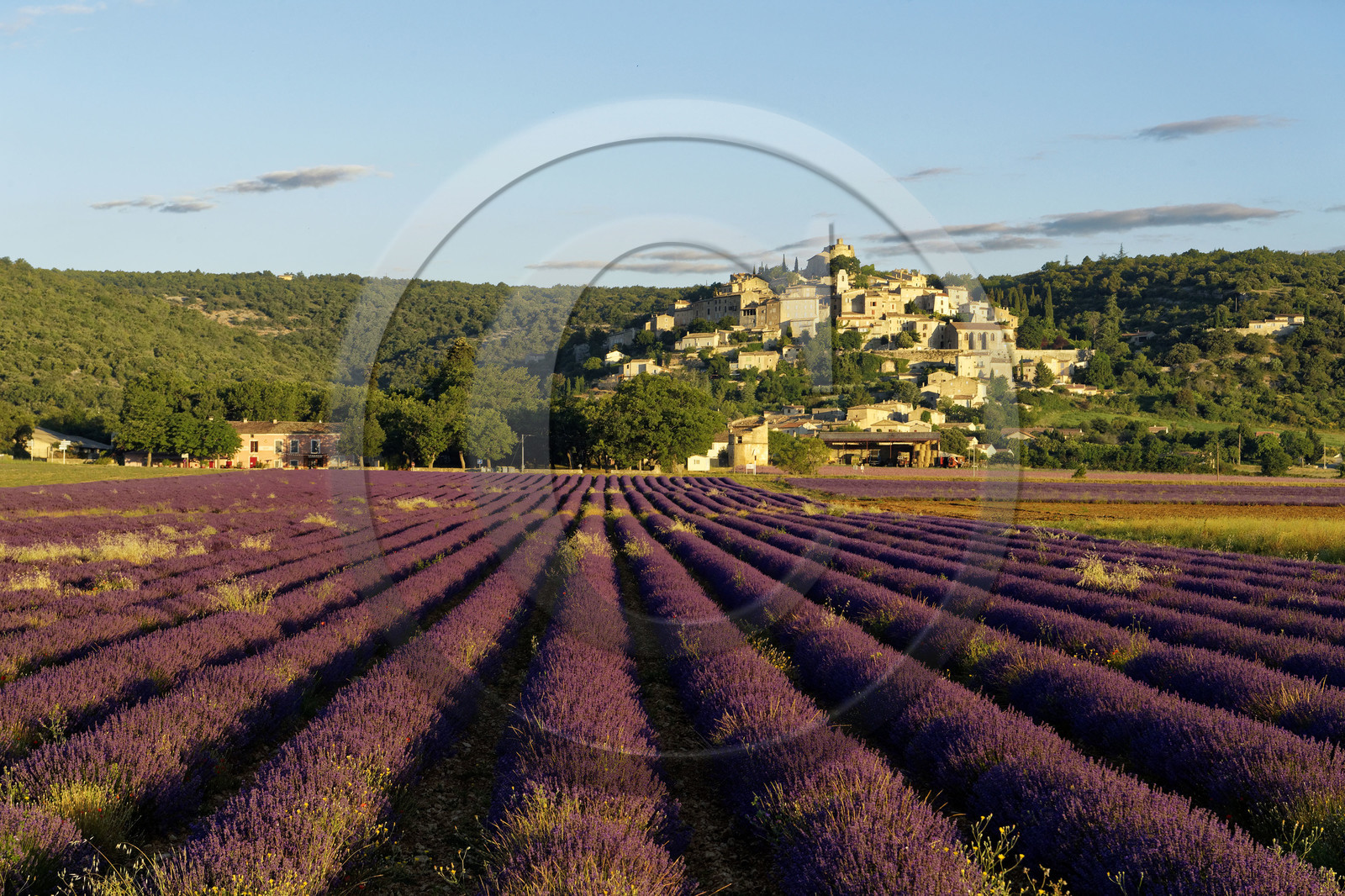 France, Simiane la Rotonde