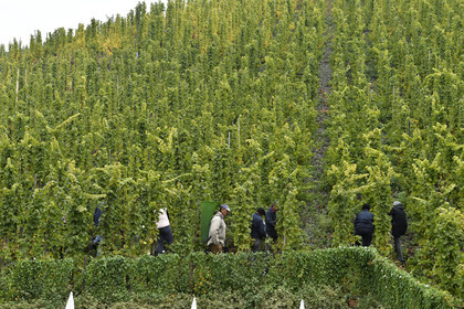Allemagne, Bernkastel-Kues
