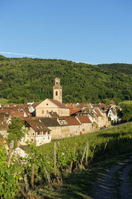 France, Riquewihr