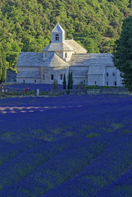 France, Senanque