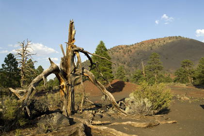 USA, SUNSET CRATER