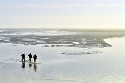 France, Baie de Somme